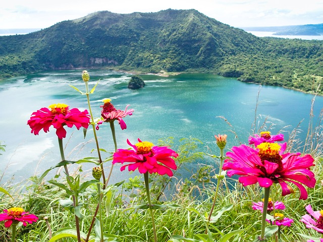 taal